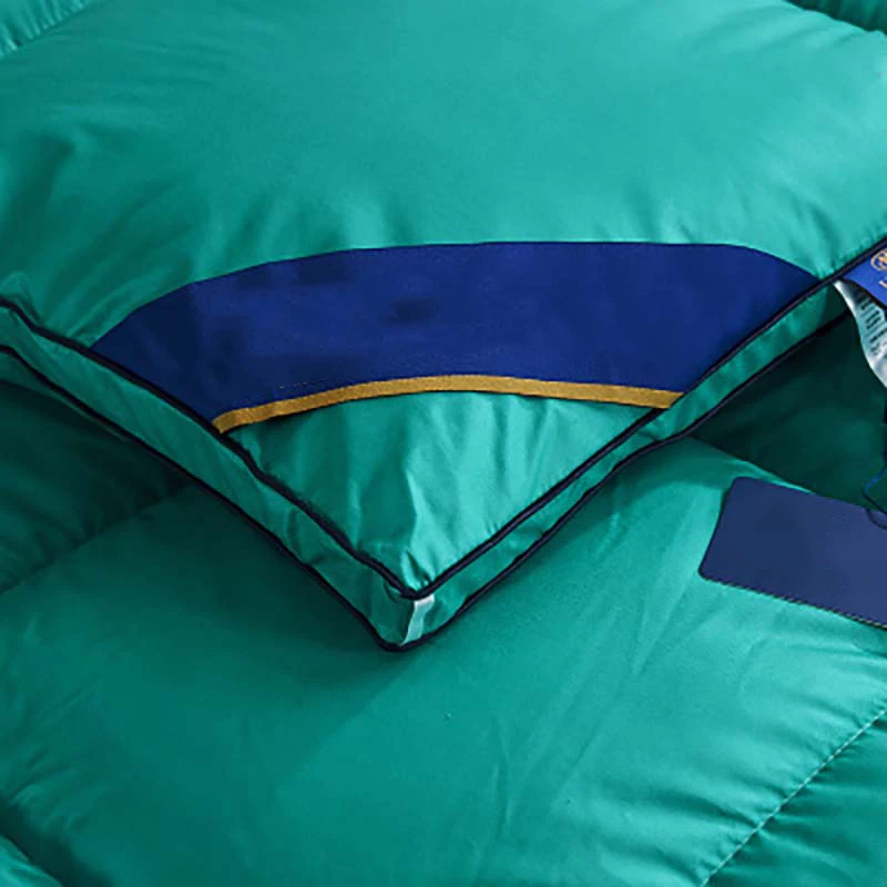 95% White Goose/Duck Bed Duvet winter keep warm quilt hotel upscale duvet Solid Color Comforter Quilt Down blanket For Home
95% White Goose/Duck Bed Duvet winter keep warm quilt hotel upscale duvet Solid Color Comforter Quilt Down blanket For Home