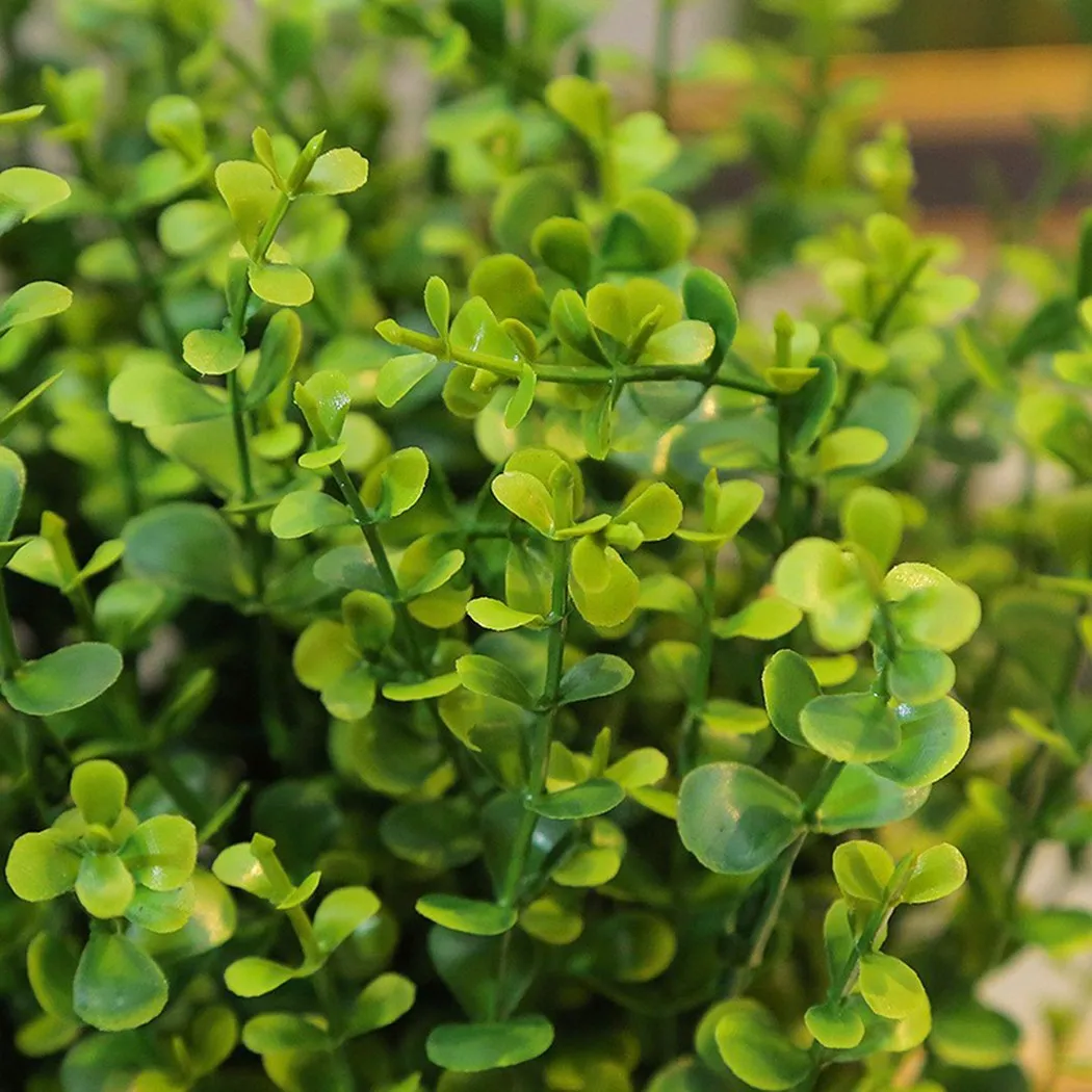 1pcs Water Grass Eucalyptus Plastic Artificial Plants Green Grass Plastic Flower Plant Wedding Home Decoration Table Decors
1pcs Water Grass Eucalyptus Plastic Artificial Plants Green Grass Plastic Flower Plant Wedding Home Decoration Table Decors