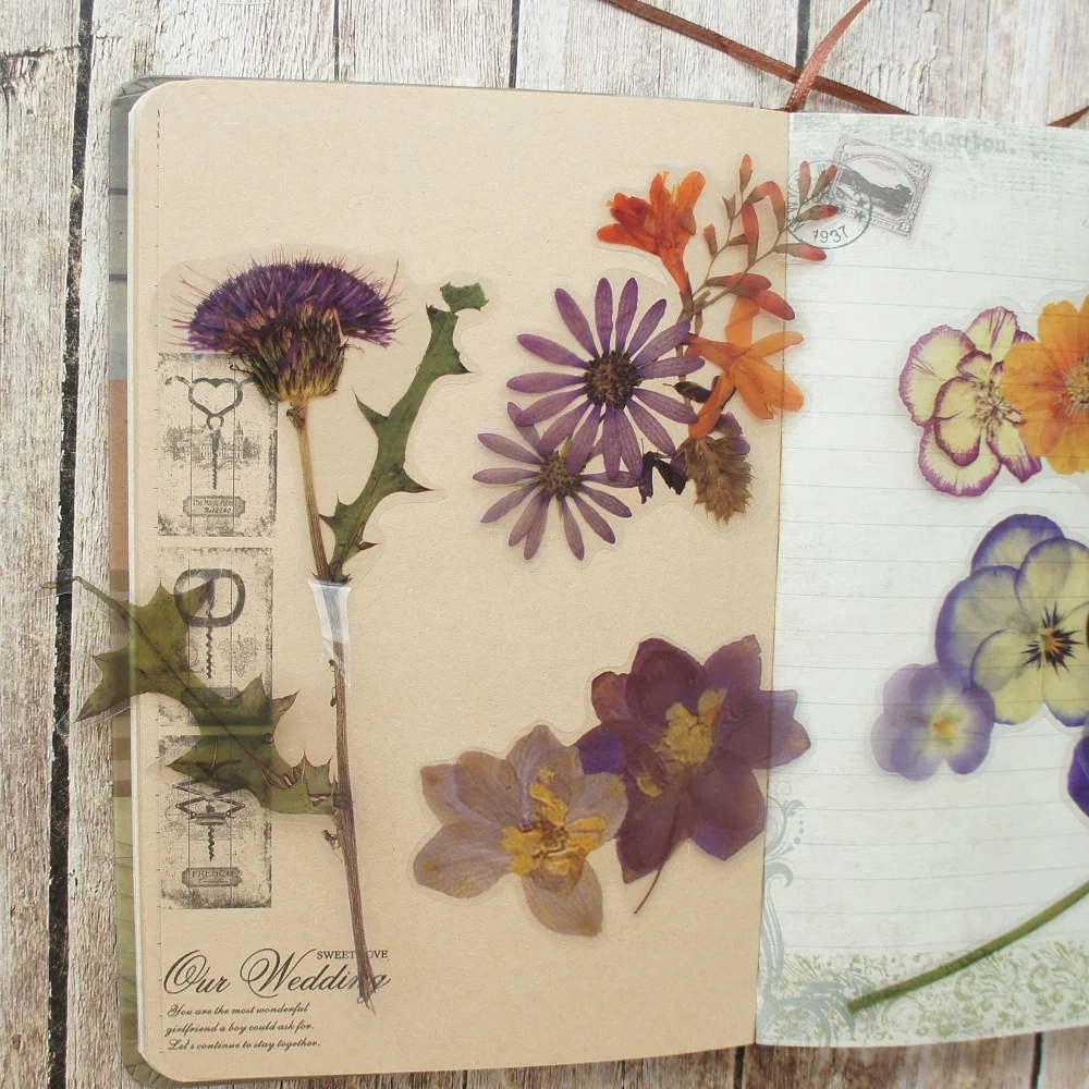6pcs Big Size Purple Orchid Oil Painting Flower Style PVC Transparent Sticker Scrapbooking DIY Gift Decoration Tag
6pcs Big Size Purple Orchid Oil Painting Flower Style PVC Transparent Sticker Scrapbooking DIY Gift Decoration Tag