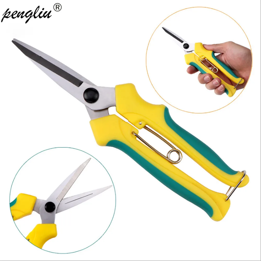 Straight Fruit Tree Picking Fruit Scissors Rubber Orchard Thin Fruit Shears Gardening Bonsai Tools Garden Supplies Pruning shear
Straight Fruit Tree Picking Fruit Scissors Rubber Orchard Thin Fruit Shears Gardening Bonsai Tools Garden Supplies Pruning shear