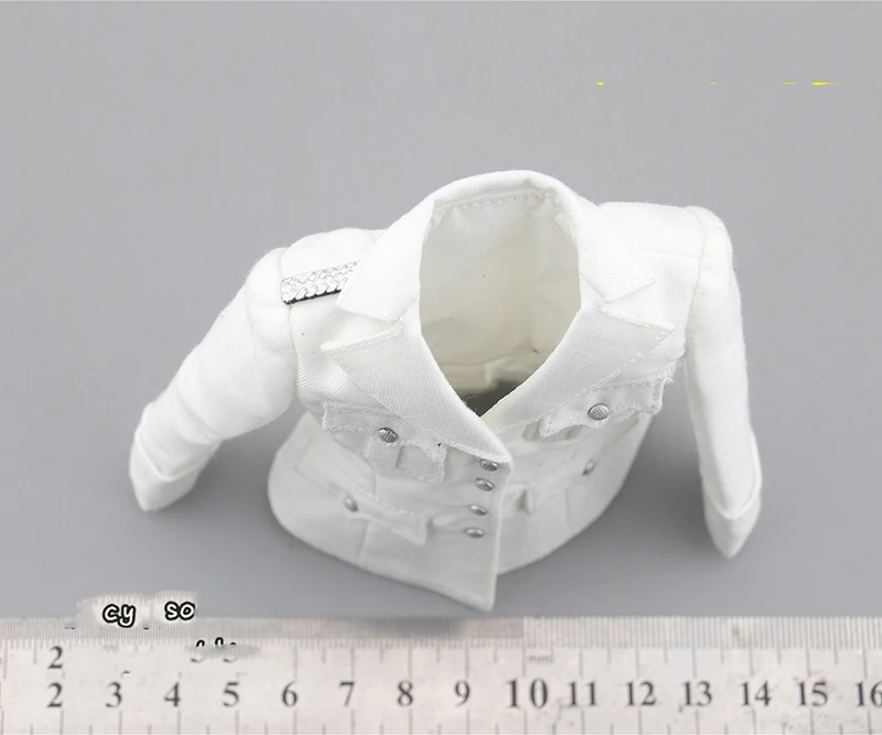 1/6 Scale VCF-2051 Female Officer Uniforms Coat Pants Hat Medals for 12''Body Figure DIY
1/6 Scale VCF-2051 Female Officer Uniforms Coat Pants Hat Medals for 12''Body Figure DIY