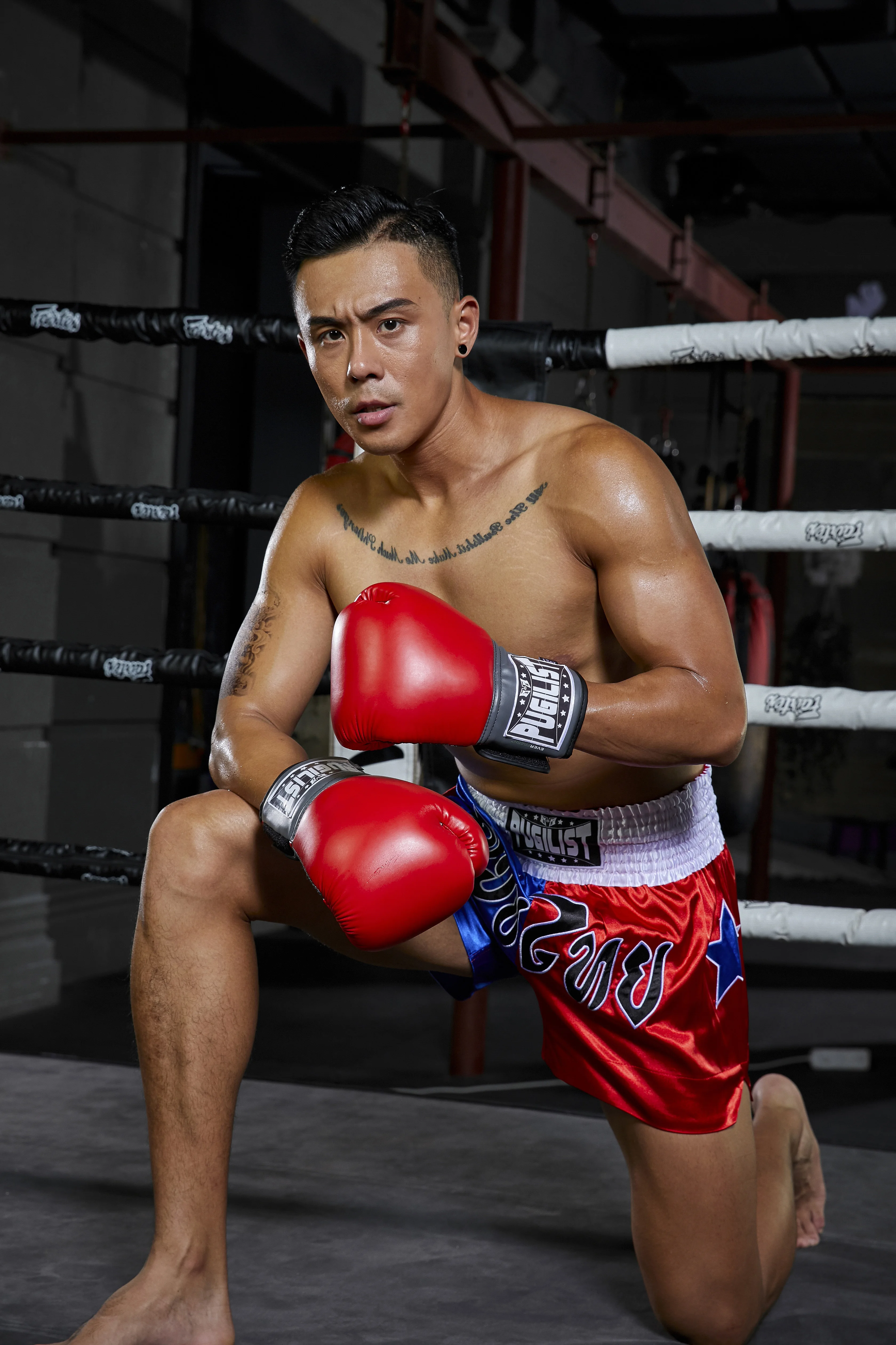 PUGILIST five star series muay Thai pants mma shorts fighting shorts fitness martial arts training boxing
PUGILIST five star series muay Thai pants mma shorts fighting shorts fitness martial arts training boxing