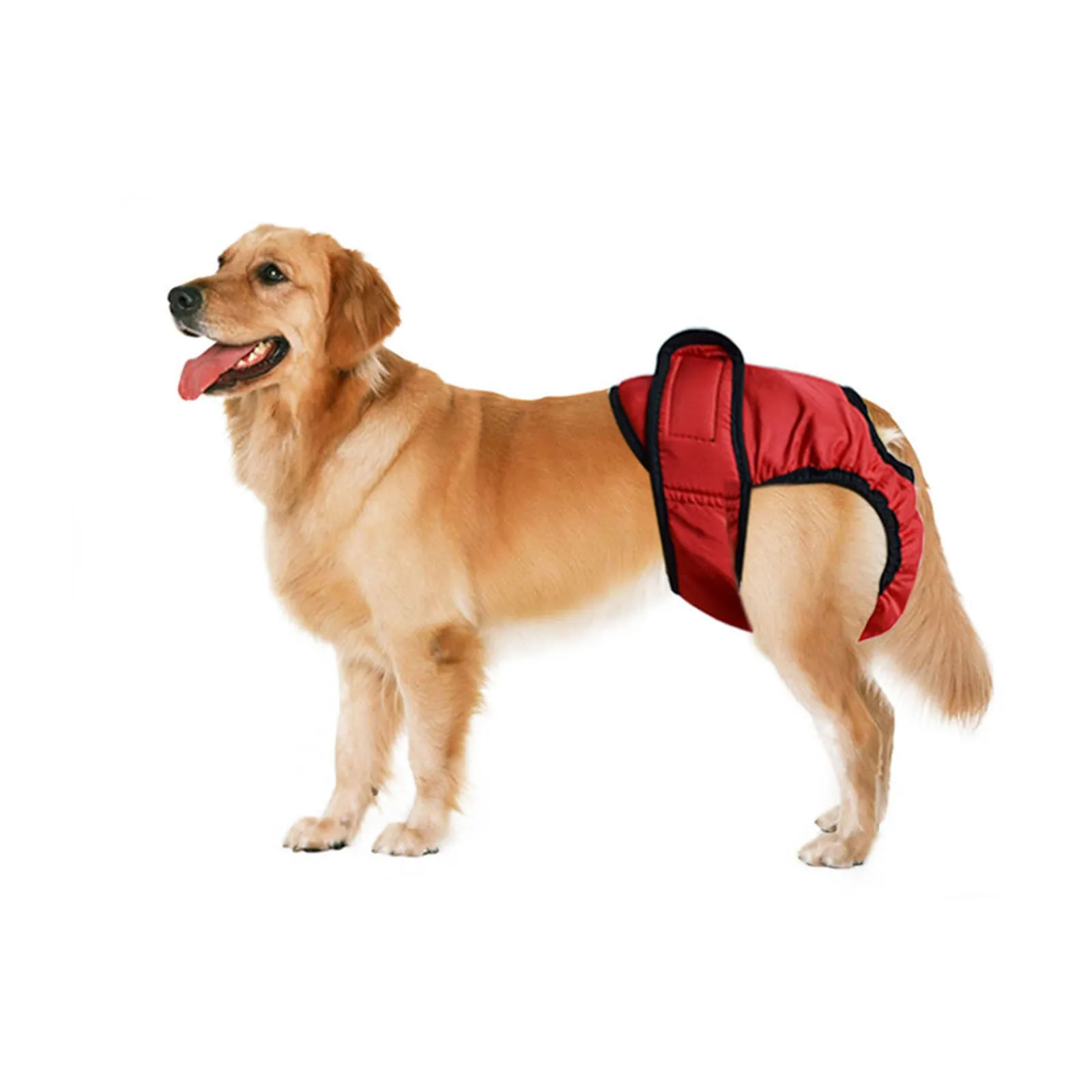 Pets Dogs Physiological Pants Sanitary Diaper Female Dog Shorts Panties Menstruation Underwear Briefs Dog Menstruation Shorts #M
Pets Dogs Physiological Pants Sanitary Diaper Female Dog Shorts Panties Menstruation Underwear Briefs Dog Menstruation Shorts #M