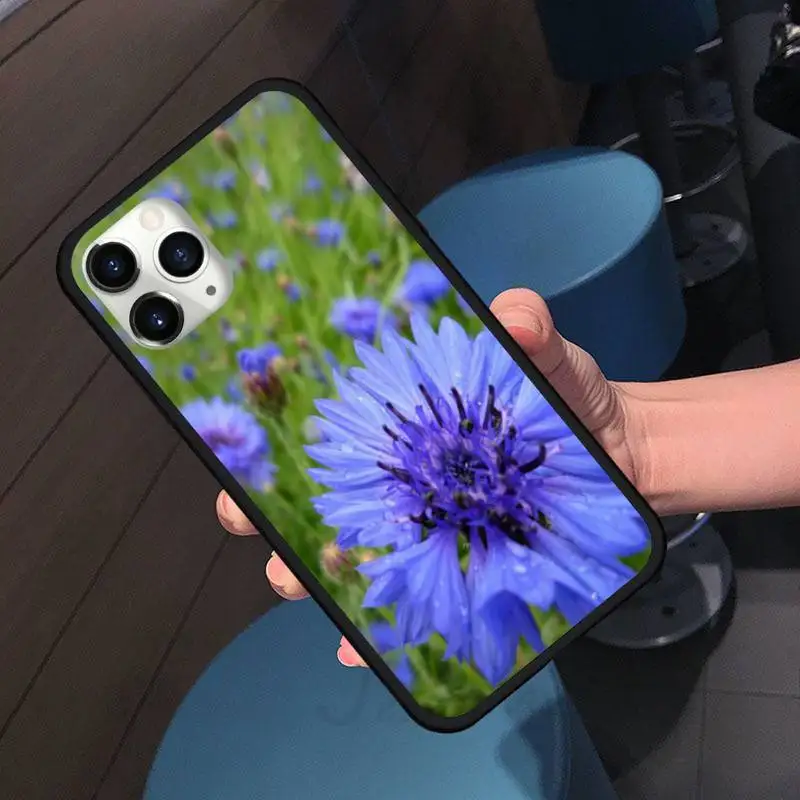 Flower Blue Cornflowers beatuiful plant Phone Case for iPhone 11 12 pro XS MAX 8 7 6 6S Plus X 5S SE 2020 XR Soft silicone
Flower Blue Cornflowers beatuiful plant Phone Case for iPhone 11 12 pro XS MAX 8 7 6 6S Plus X 5S SE 2020 XR Soft silicone