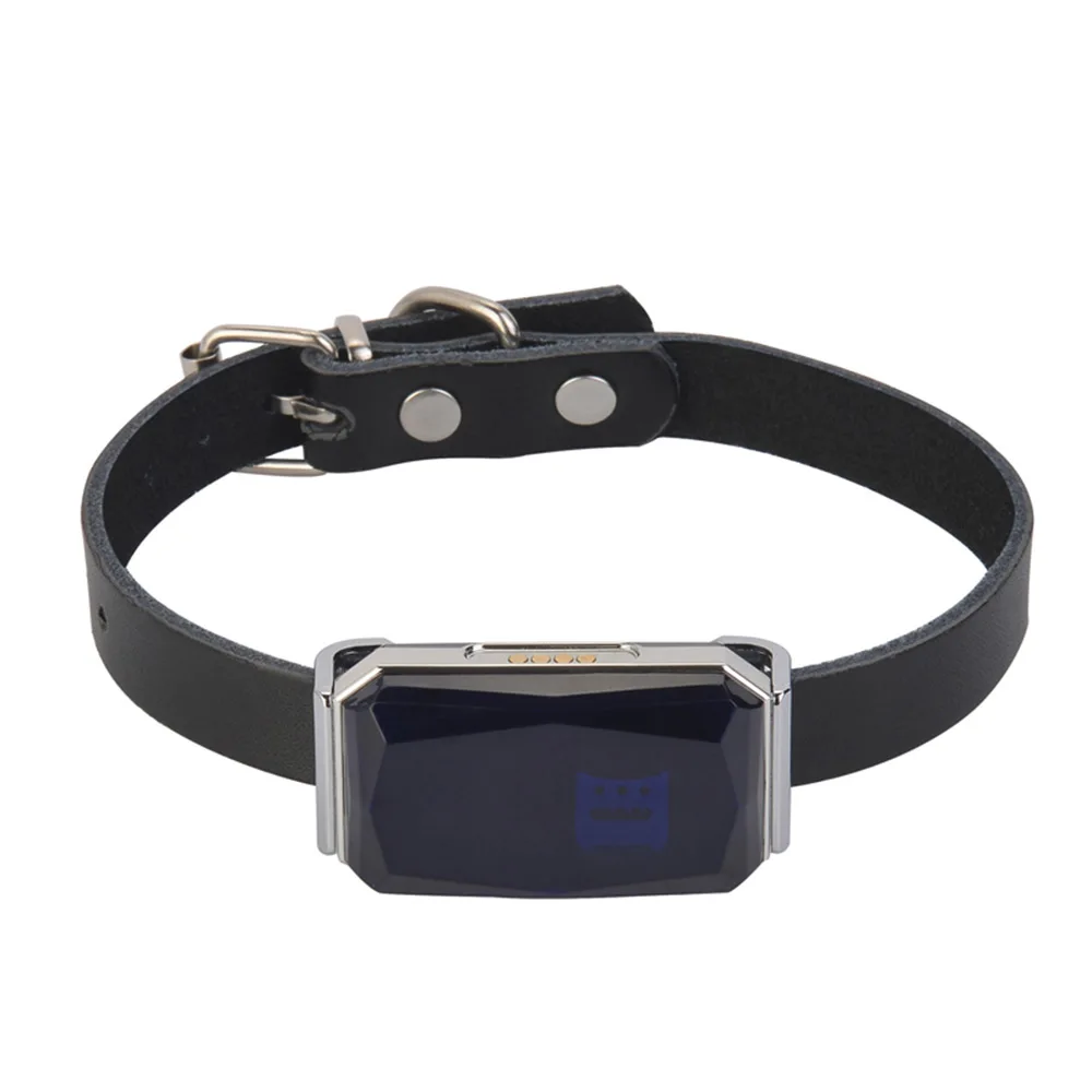 Pet Smart GPS Tracker Collar For Pet Dog Cat Child Phone Anti Lost WaterProof GPS Locator Alarm Wallet Key Finder Equipment
Pet Smart GPS Tracker Collar For Pet Dog Cat Child Phone Anti Lost WaterProof GPS Locator Alarm Wallet Key Finder Equipment
