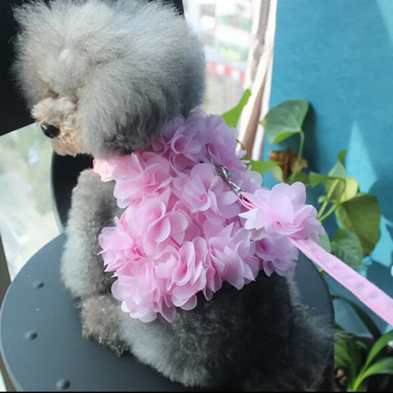 Pet Dog Cat Harness Leash Breathable Stereo Pink Flower Harness Pet Cat Dog Leash Set Puppy Vest Harness Leash For Chihuahua
Pet Dog Cat Harness Leash Breathable Stereo Pink Flower Harness Pet Cat Dog Leash Set Puppy Vest Harness Leash For Chihuahua