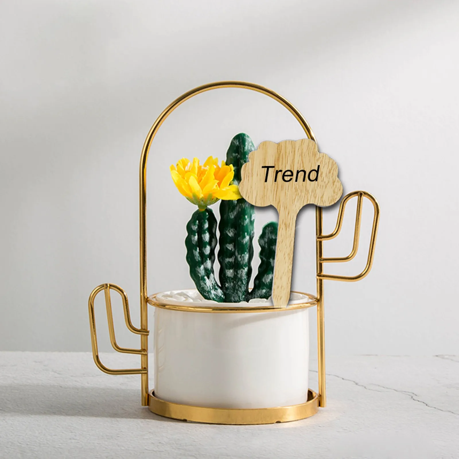 50pcs T-Type Bamboo Plant Labels Eco-Friendly Wooden Plant Sign Tags Garden Markers for Seed Potted Herbs Flowers Tools Shipping
50pcs T-Type Bamboo Plant Labels Eco-Friendly Wooden Plant Sign Tags Garden Markers for Seed Potted Herbs Flowers Tools Shipping