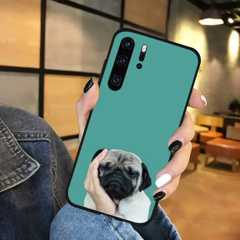 Pug Dog French Bulldog Phone Cases Funda For Huawei P9 P10 P20 P30 Lite 2016 2017 2019 plus pro P smart
Pug Dog French Bulldog Phone Cases Funda For Huawei P9 P10 P20 P30 Lite 2016 2017 2019 plus pro P smart