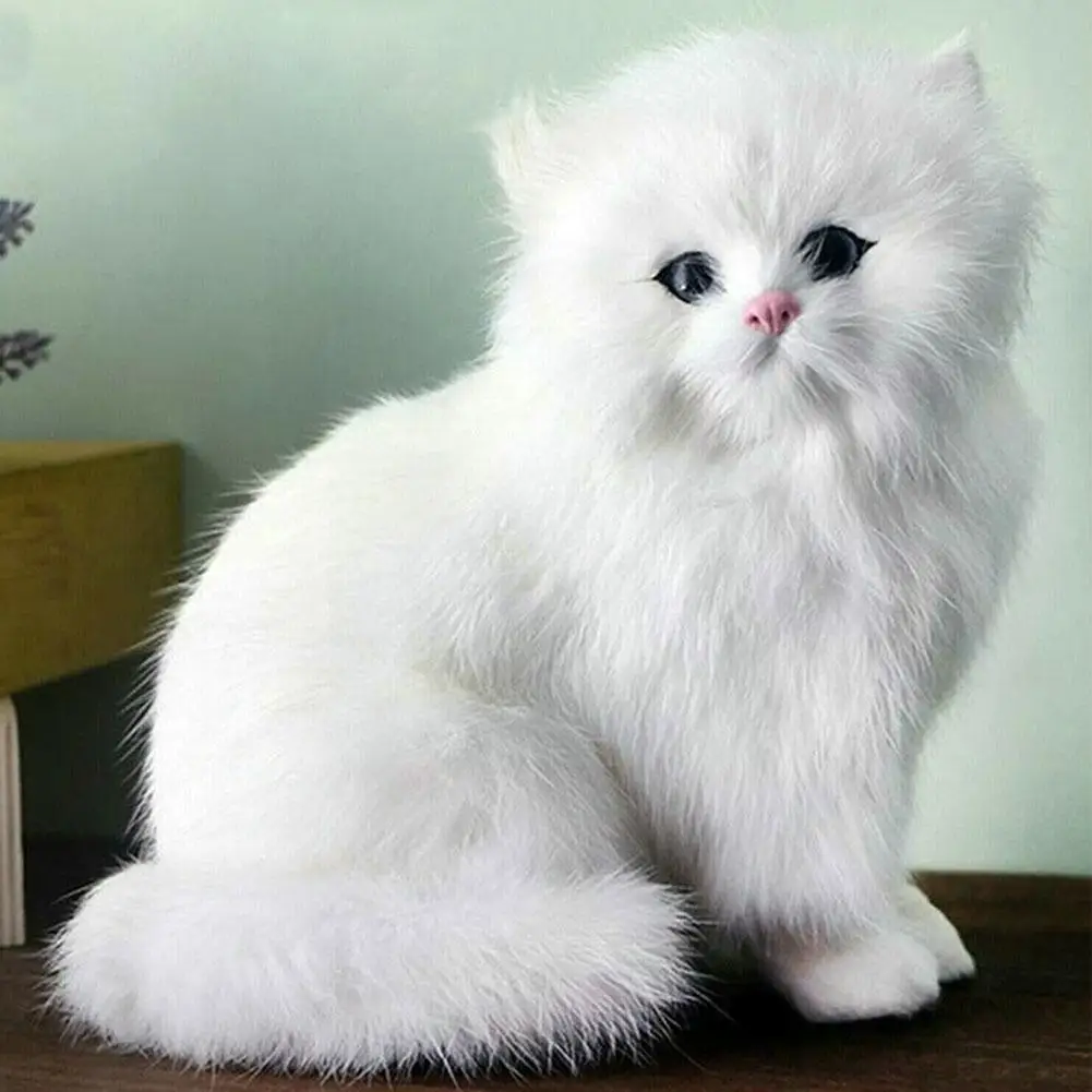 1pc Simulation Persian Toy Animal Model Cute Persian Toy Gift Children’s Plush Decoration Desktop Realistic Toy C7h5
1pc Simulation Persian Toy Animal Model Cute Persian Toy Gift Children’s Plush Decoration Desktop Realistic Toy C7h5