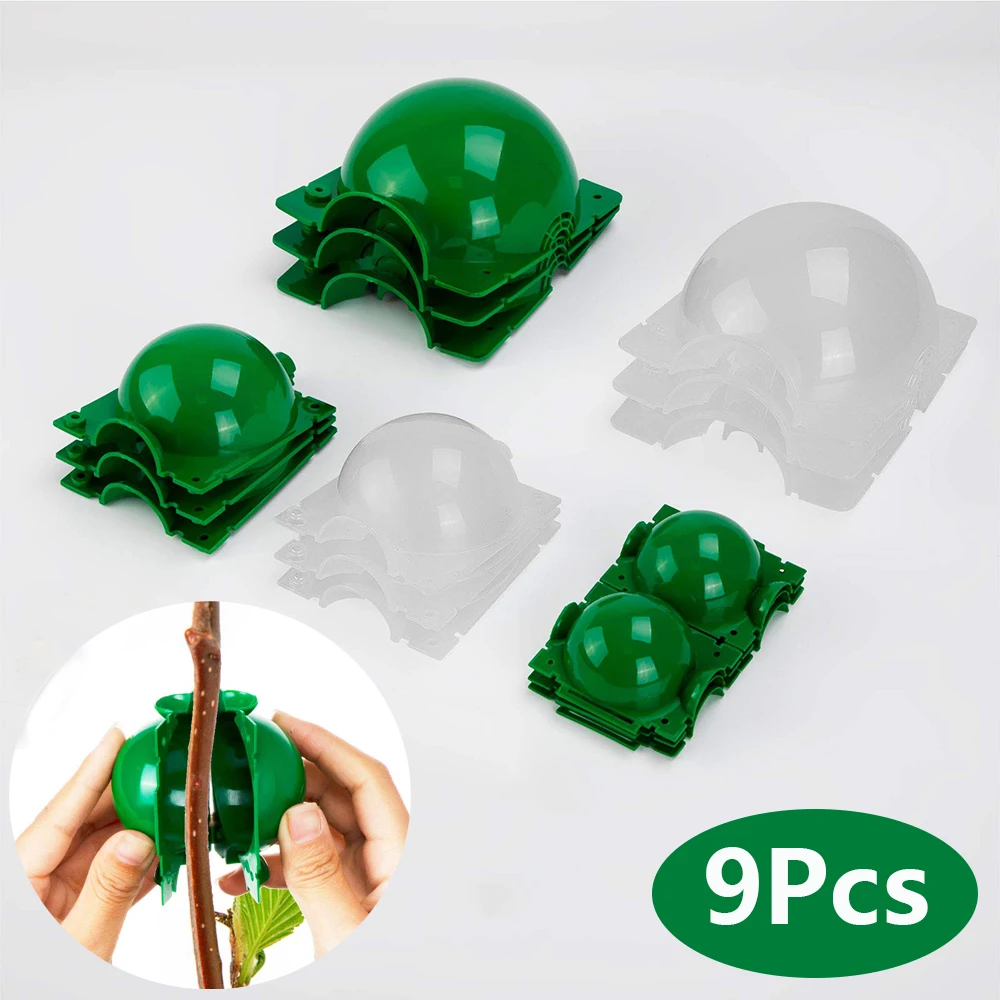 9Pcs Grafting Root Growing Box Garden Plant Rooting Ball High Pressure Nursery Pots Air Layering Propagation Garden Supplies
9Pcs Grafting Root Growing Box Garden Plant Rooting Ball High Pressure Nursery Pots Air Layering Propagation Garden Supplies