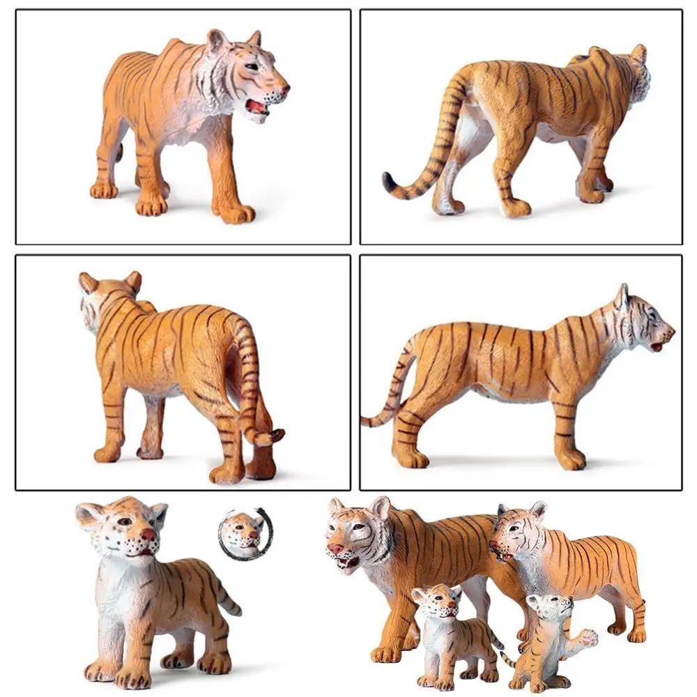 African Wild Saber-toothed Tiger Simulation Ainmals Classic Cat Tiger Action Figure Model Educational Toy For Kids
African Wild Saber-toothed Tiger Simulation Ainmals Classic Cat Tiger Action Figure Model Educational Toy For Kids