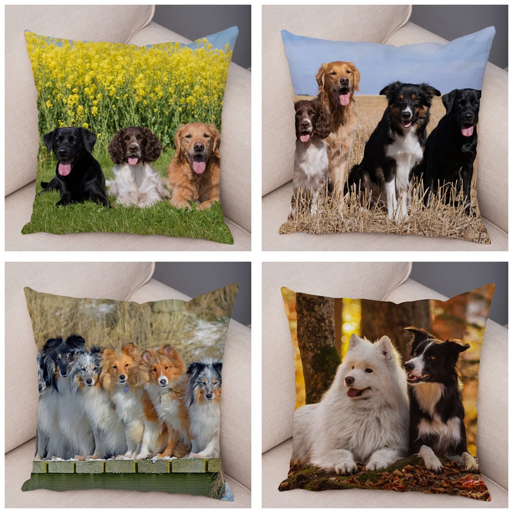 Печатные Pet Чехол для подушки с изображением животных Шотландия колли мягкая