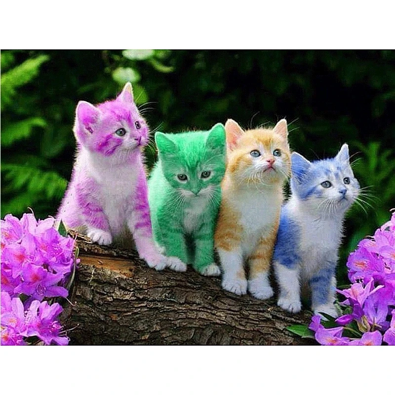 Diy 2018 5d mosaic Diamond painting cross stitch painting rhinestone Square Diamond embroidery Colour Little Milk Cat
Diy 2018 5d mosaic Diamond painting cross stitch painting rhinestone Square Diamond embroidery Colour Little Milk Cat