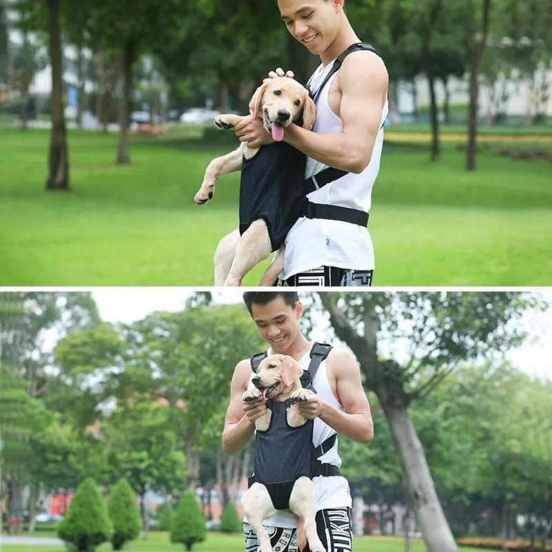 Dog Carriers Adjustable Pet Front Puppies Carrier Backpack Travel Bag Legs Out Easy-Fit For Traveling Hiking Cat Backpack
Dog Carriers Adjustable Pet Front Puppies Carrier Backpack Travel Bag Legs Out Easy-Fit For Traveling Hiking Cat Backpack