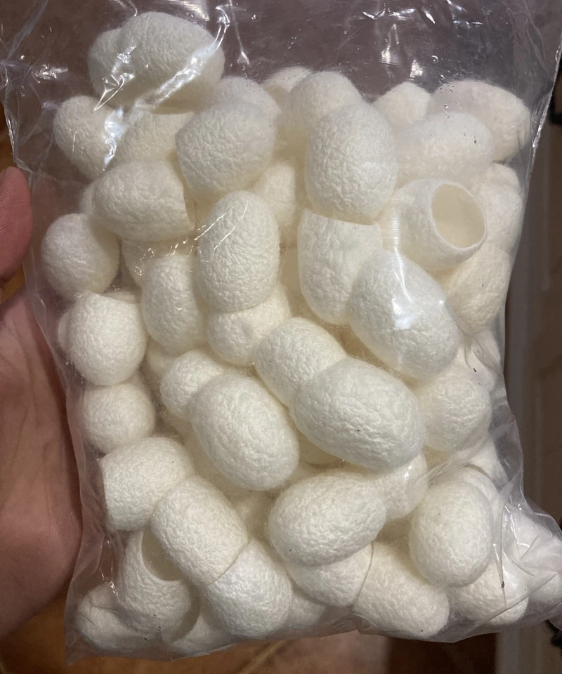 100pcs Silkworm Balls Natural Facial Skin Care Face Blackhead Remover Cleanser 100% Silk Diy Cloth Weaving Supplies
100pcs Silkworm Balls Natural Facial Skin Care Face Blackhead Remover Cleanser 100% Silk Diy Cloth Weaving Supplies