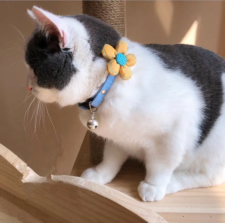 Pet cat Collars Adjustable With Bell and small flowers Puppy Collars Necklace For Puppy Kitten Pet Cat Accessories
Pet cat Collars Adjustable With Bell and small flowers Puppy Collars Necklace For Puppy Kitten Pet Cat Accessories