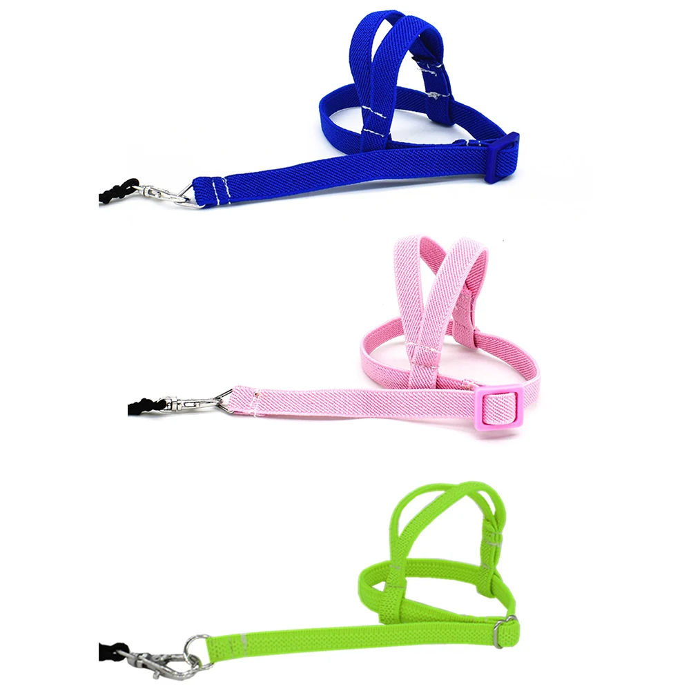 Parrot Bird Training Flying Rope Portable Adjustable Harness Leash Outdoor Training Rope Anti Bite Pet Bird Training Serviceable
Parrot Bird Training Flying Rope Portable Adjustable Harness Leash Outdoor Training Rope Anti Bite Pet Bird Training Serviceable