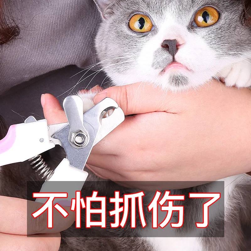 Cat Nail Clippers Pet Nail Clippers Dog Nail Clippers Novice Cat Claws Rabbit Cat Nail Clippers
Cat Nail Clippers Pet Nail Clippers Dog Nail Clippers Novice Cat Claws Rabbit Cat Nail Clippers