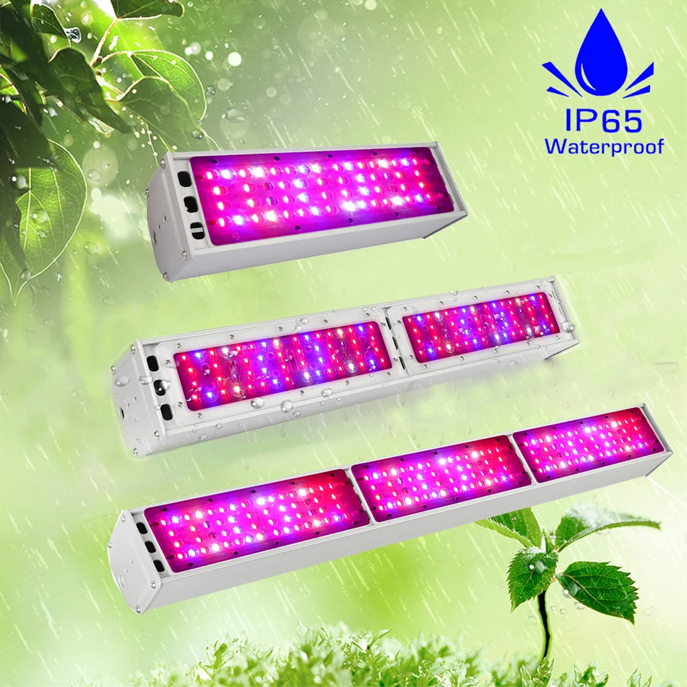 IP65 Waterproof 150W 300W 450W Full spectrum Led Grow Light Lamp SMD3030 Growing Phytolamp For Indoor Plants Seeds Grow Tent
IP65 Waterproof 150W 300W 450W Full spectrum Led Grow Light Lamp SMD3030 Growing Phytolamp For Indoor Plants Seeds Grow Tent
