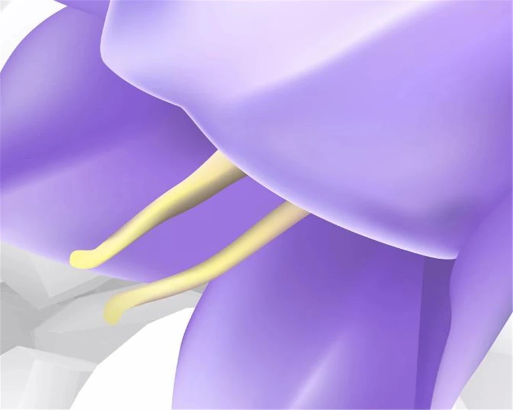 3d Bedroom Wallpaper Beautiful Fantasy Purple Flowers Butterfly 3D TV Background Wall Decoration Mural Wallpaper
3d Bedroom Wallpaper Beautiful Fantasy Purple Flowers Butterfly 3D TV Background Wall Decoration Mural Wallpaper