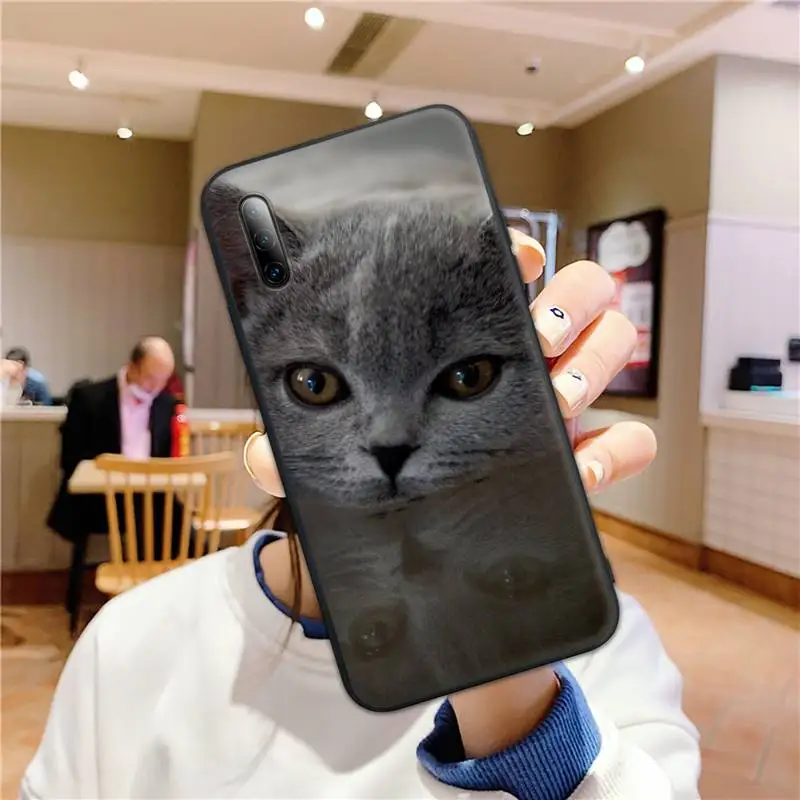 British shorthair cat Phone Case for Xiaomi mi6 mi5x mi8 miA1 miA2 mi9 mix2 mi10pro mimax3 Funda coque cover
British shorthair cat Phone Case for Xiaomi mi6 mi5x mi8 miA1 miA2 mi9 mix2 mi10pro mimax3 Funda coque cover