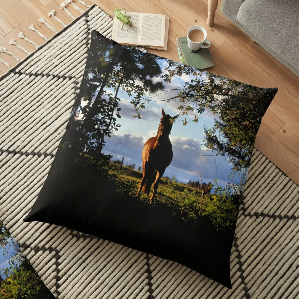 Evergreen Montana Printed Decorative Cushion Sofa Cover Pillow Pillowcase Springtime Decorations For Home Decor Pillow Cover
Evergreen Montana Printed Decorative Cushion Sofa Cover Pillow Pillowcase Springtime Decorations For Home Decor Pillow Cover