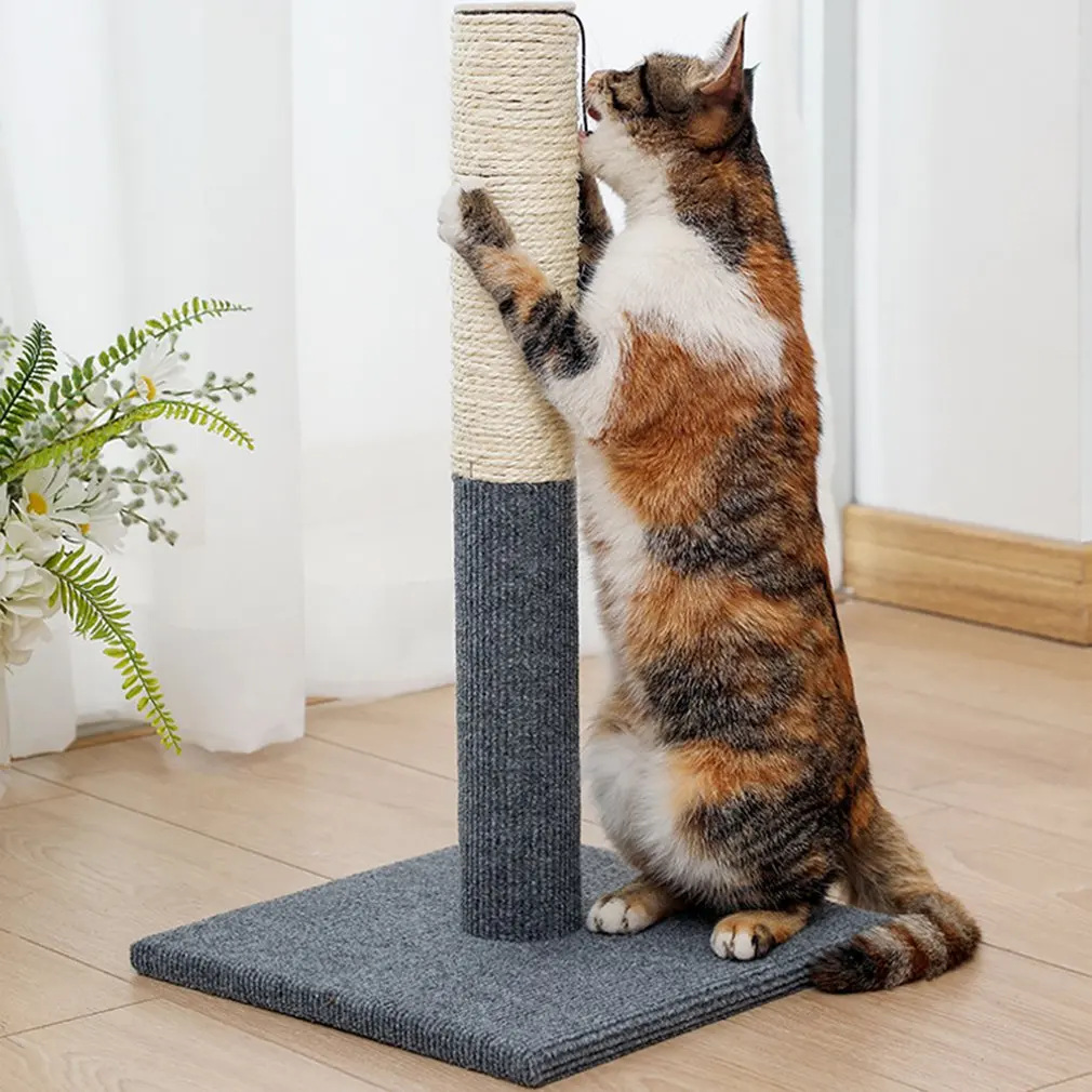 Игрушка для домашних животных Sisal, Когтеточка для кошек, котят, скалолазания, башня для прыжков с мячом, скребок для кошек, защитная мебель
Игрушка для домашних животных Sisal, Когтеточка для кошек, котят, скалолазания, башня для прыжков с мячом, скребок для кошек, защитная мебель