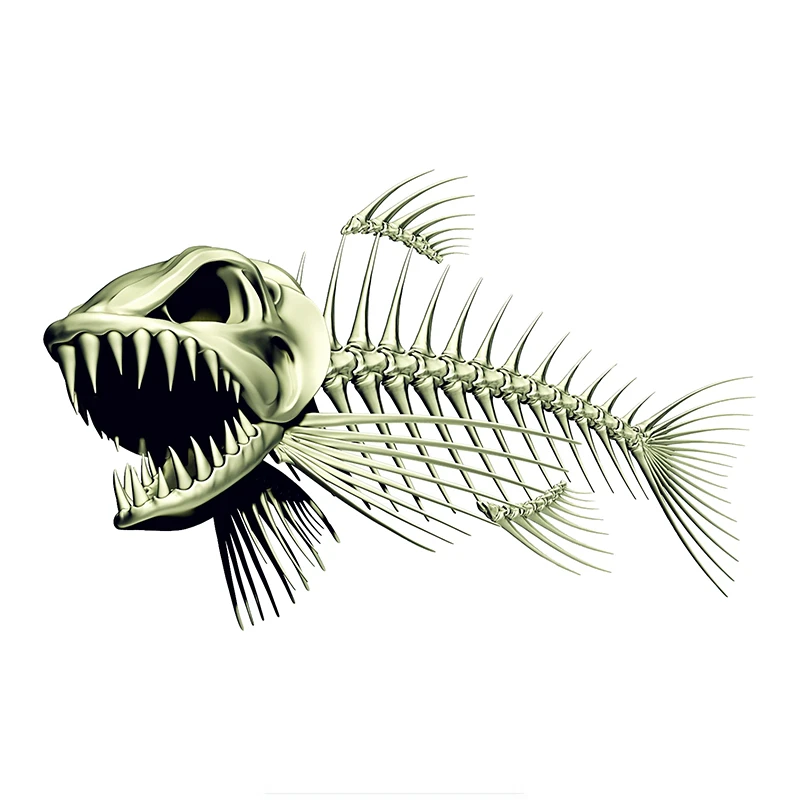 Scary Skeleton Fish Fishing Car Sticker Decals 3D Styling Motorcycle Decal Accessories 18cmx11.7cm
Scary Skeleton Fish Fishing Car Sticker Decals 3D Styling Motorcycle Decal Accessories 18cmx11.7cm