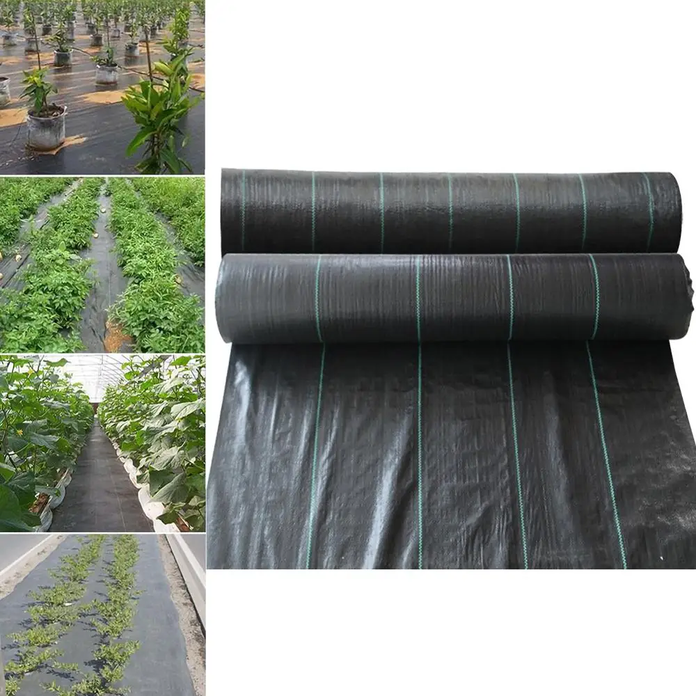 Agricultural Anti Grass Cloth Farm-oriented Weed Barrier Mat Black Plastic Mulch Thicker Orchard Garden Weed Control Fabric
Agricultural Anti Grass Cloth Farm-oriented Weed Barrier Mat Black Plastic Mulch Thicker Orchard Garden Weed Control Fabric