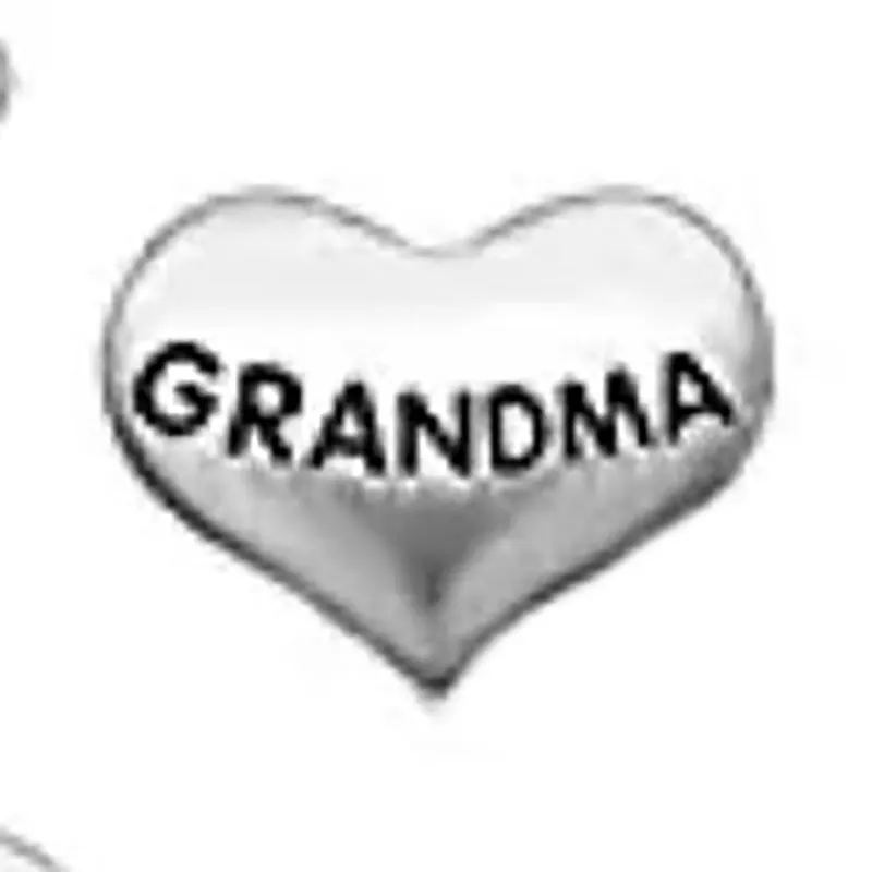 10pcs Silver Color Grandma Granny Heart Shape Custom Floating Charms for Glass Locket
10pcs Silver Color Grandma Granny Heart Shape Custom Floating Charms for Glass Locket