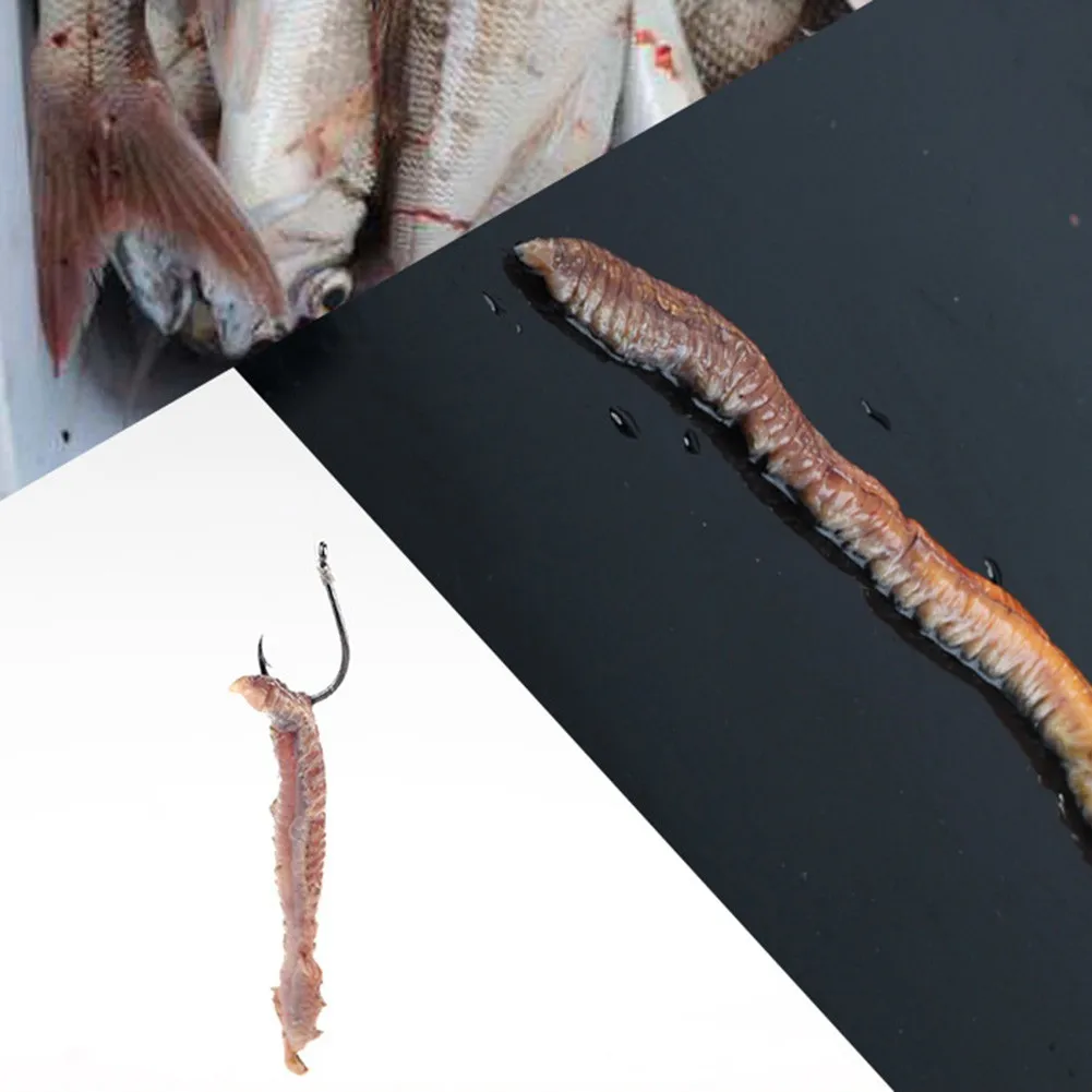 6/10g Dry Sandworm Bait Catfish Dry Fishing For Feeder Lure Natural Sandworm Smell Practical Protable Reliable
6/10g Dry Sandworm Bait Catfish Dry Fishing For Feeder Lure Natural Sandworm Smell Practical Protable Reliable