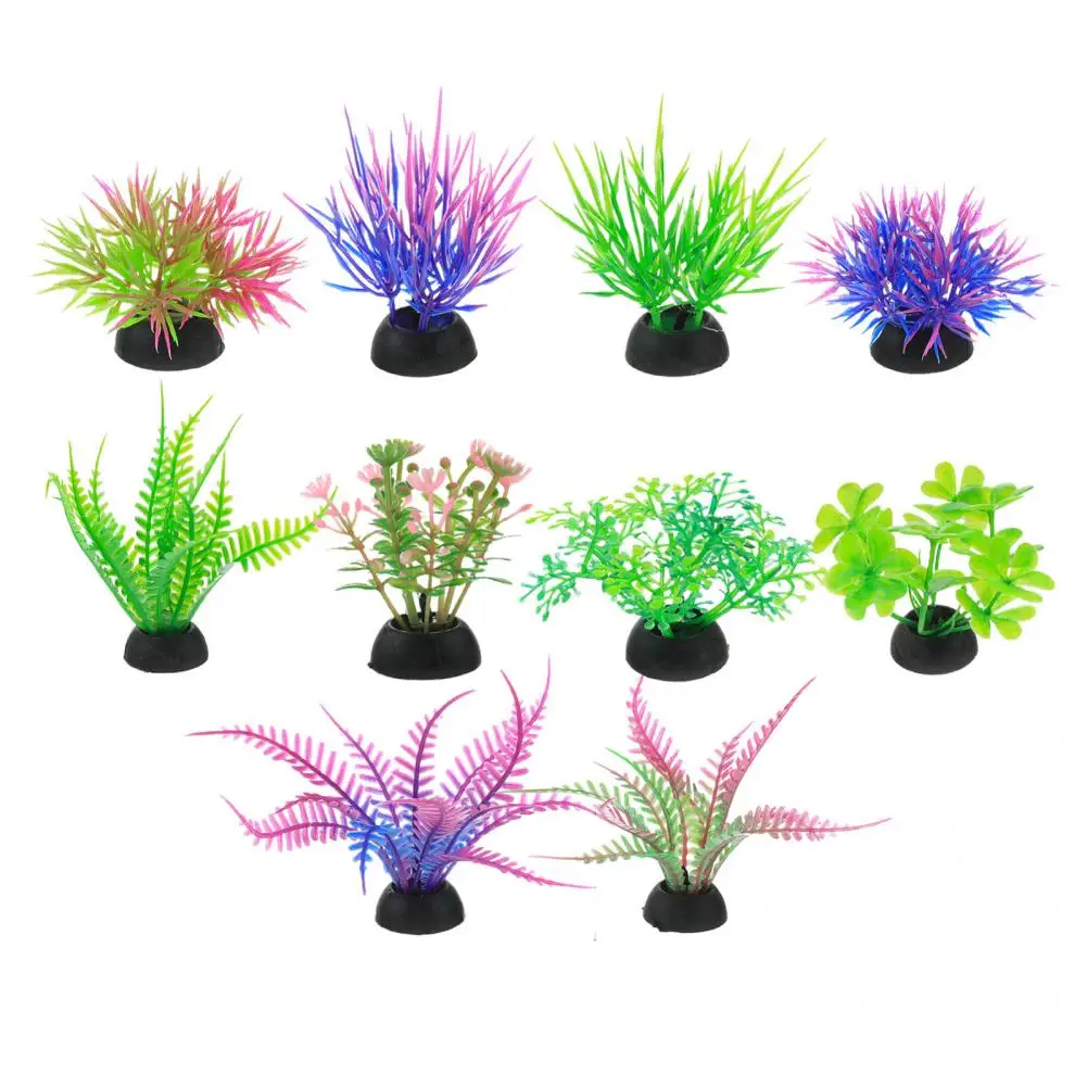 Fadeless 10Pcs Beautiful Aquatics Plants Aquarium Ornament Eco-friendly Fake Aquatics Plants Miniature for Fish Tank Decor 
Fadeless 10Pcs Beautiful Aquatics Plants Aquarium Ornament Eco-friendly Fake Aquatics Plants Miniature for Fish Tank Decor