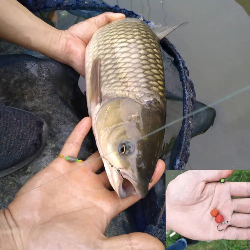 WIFREO Carp Bait Real Fishing Food Smell Boilies Pop Ups Floating Ball Beads Carp Fishing Bait
WIFREO Carp Bait Real Fishing Food Smell Boilies Pop Ups Floating Ball Beads Carp Fishing Bait