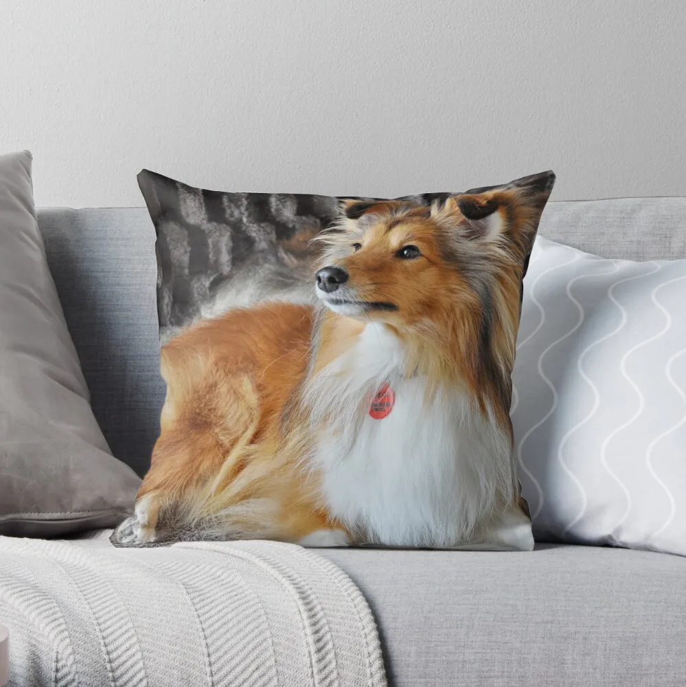 Красивая декоративная подушка-чехол из полиэстера для дома
Красивая декоративная подушка-чехол из полиэстера для дома