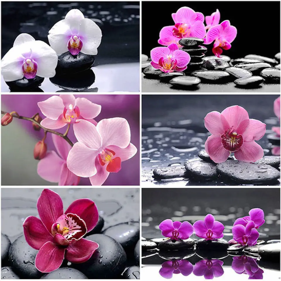 HOME NEW 5D Diy Diamond Painting Cross Stitch "The water flowers" Home Decor Full Rhinestones Inlay Diamond Embroidery mozaïek
HOME NEW 5D Diy Diamond Painting Cross Stitch "The water flowers" Home Decor Full Rhinestones Inlay Diamond Embroidery mozaïek