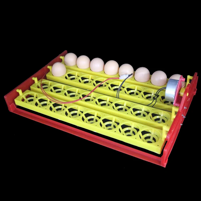 32 Eggs Turn Tray Automatic Incubator Egg Tray 110v / 220v / 12v Chicken Duck Eggs Tray 28 X 43 cm 8 Holes
32 Eggs Turn Tray Automatic Incubator Egg Tray 110v / 220v / 12v Chicken Duck Eggs Tray 28 X 43 cm 8 Holes