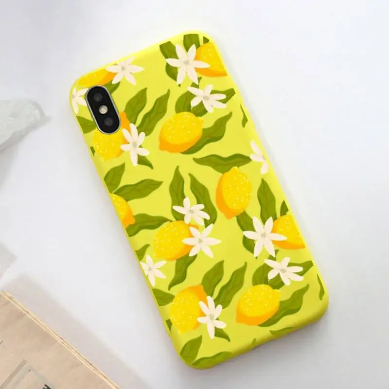 Summer green leaves fruit lemon peach pomegranate grape Phone Case for iphone 11 12 mini pro max 7 8 plus 6 6s x xs max xr shell
Summer green leaves fruit lemon peach pomegranate grape Phone Case for iphone 11 12 mini pro max 7 8 plus 6 6s x xs max xr shell