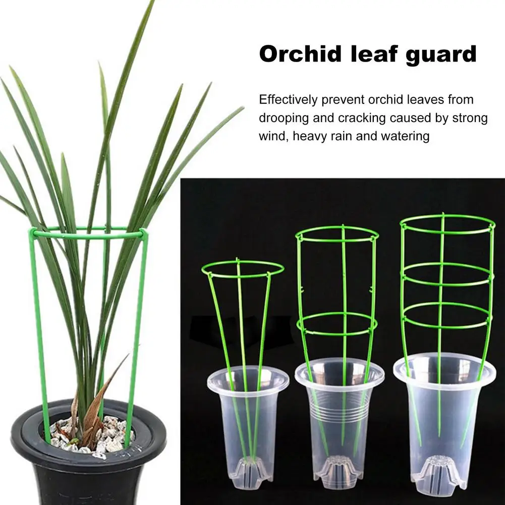 45cm Climbing Vine Rack Plant Potted Support Frame Plastic Coated Steel Flower Vegetable Decorative Trellis Bracket Plants Stake
45cm Climbing Vine Rack Plant Potted Support Frame Plastic Coated Steel Flower Vegetable Decorative Trellis Bracket Plants Stake