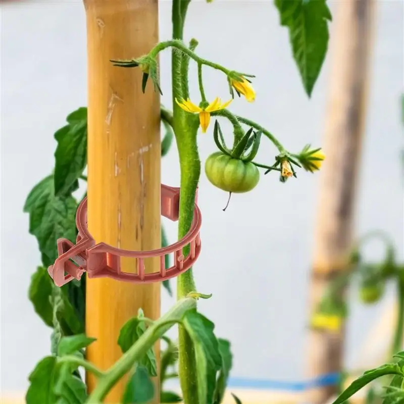 100pcs Garden Clip Set Greenhouse Tomato Stem Support Clips Plastic Plant Clip
100pcs Garden Clip Set Greenhouse Tomato Stem Support Clips Plastic Plant Clip