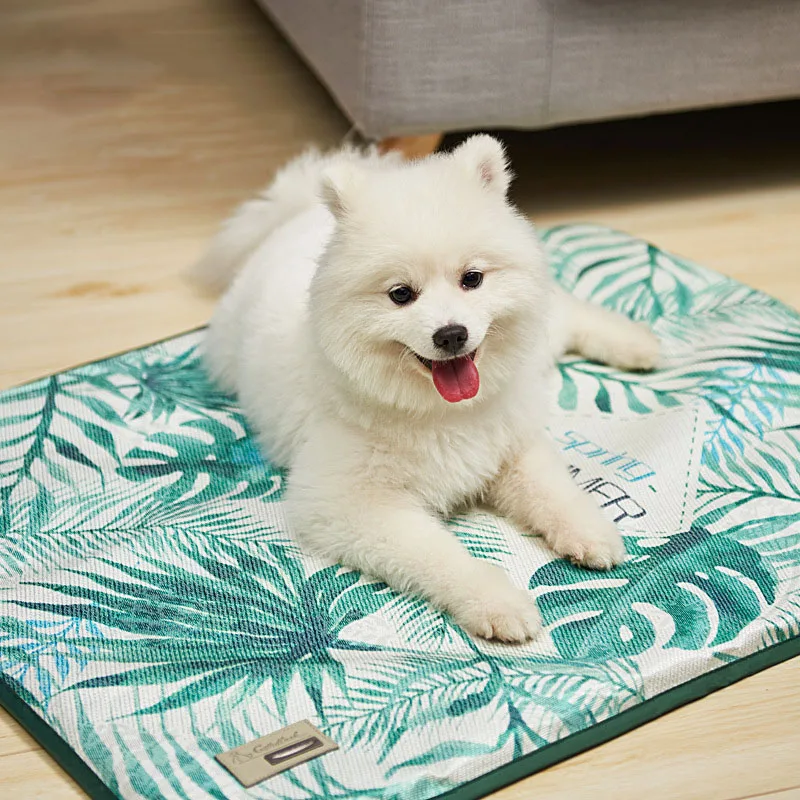 Pet Dog Mats are Fully Removable and Washable Pet Ice Silk Mats Large Medium and Small Kennel Mats
Pet Dog Mats are Fully Removable and Washable Pet Ice Silk Mats Large Medium and Small Kennel Mats