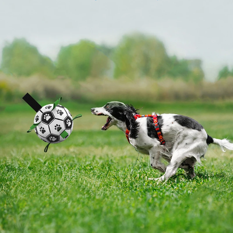 Dog Toys Football Toy Dogs Ball Toy Outdoor Multifunctional Interactive Rope Pets Football Toy Dog Accessories For Large Dogs
Dog Toys Football Toy Dogs Ball Toy Outdoor Multifunctional Interactive Rope Pets Football Toy Dog Accessories For Large Dogs