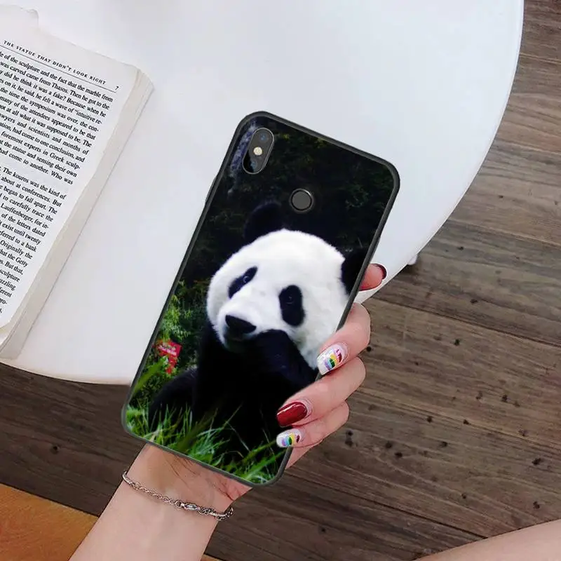 Cute animal panda Phone Case For Xiaomi Redmi note 7 8 9 t k30 max3 9 s 10 pro lite
Cute animal panda Phone Case For Xiaomi Redmi note 7 8 9 t k30 max3 9 s 10 pro lite