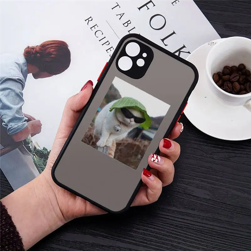 Cute Cats New Year Gifts Phone Cases Matte For iPhone 12 Mini 11 Pro XR XS Max 7 8 Plus X Hard PC Back Cover
Cute Cats New Year Gifts Phone Cases Matte For iPhone 12 Mini 11 Pro XR XS Max 7 8 Plus X Hard PC Back Cover