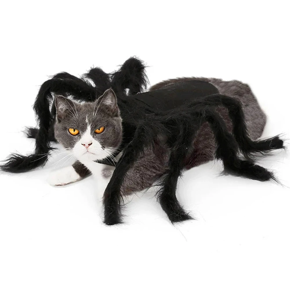 Halloween Pet Spider Clothes Puppy Cosplay Black Spider Simulation Costume For Dogs Cats Party Cosplay Funny Outfit
Halloween Pet Spider Clothes Puppy Cosplay Black Spider Simulation Costume For Dogs Cats Party Cosplay Funny Outfit