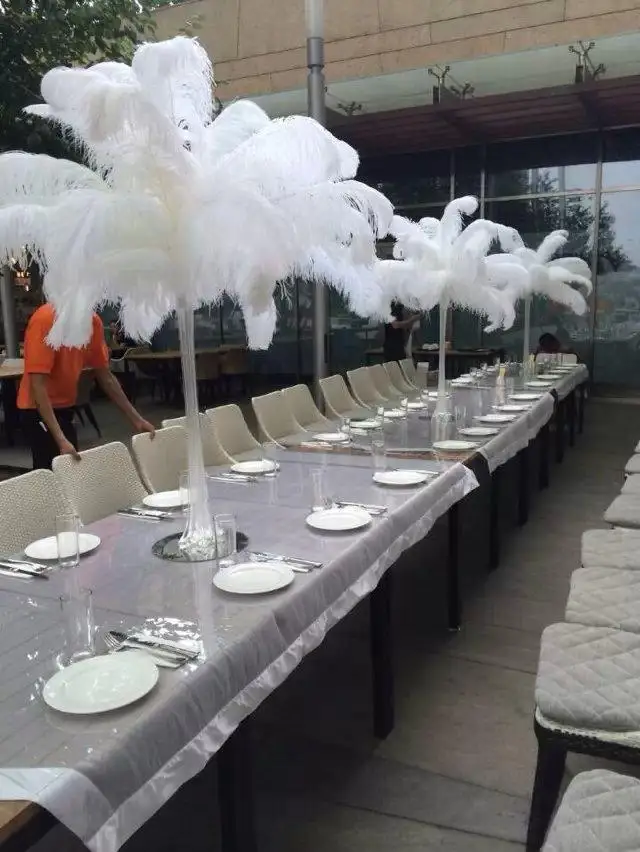 Wholesale 100 Pcs Per Lot Black White Ostrich Feather Plume For Wedding Center Pieces Party Table Decorations Supplies Free Shi
Wholesale 100 Pcs Per Lot Black White Ostrich Feather Plume For Wedding Center Pieces Party Table Decorations Supplies Free Shi