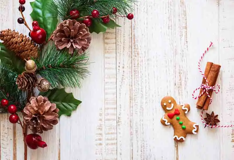 SHENGYONGBAO Vinyl Custom Photography Prop Christmas day theme Photo Studio Background Z19907-0543
SHENGYONGBAO Vinyl Custom Photography Prop Christmas day theme Photo Studio Background Z19907-0543