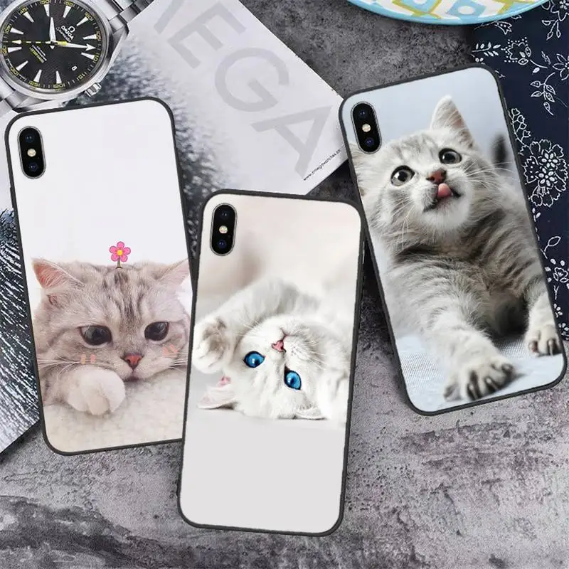 cute cat Phone Case for iPhone 11 12 13 pro XS MAX 8 7 6 6S Plus X 5S SE 2020 XR mini
cute cat Phone Case for iPhone 11 12 13 pro XS MAX 8 7 6 6S Plus X 5S SE 2020 XR mini