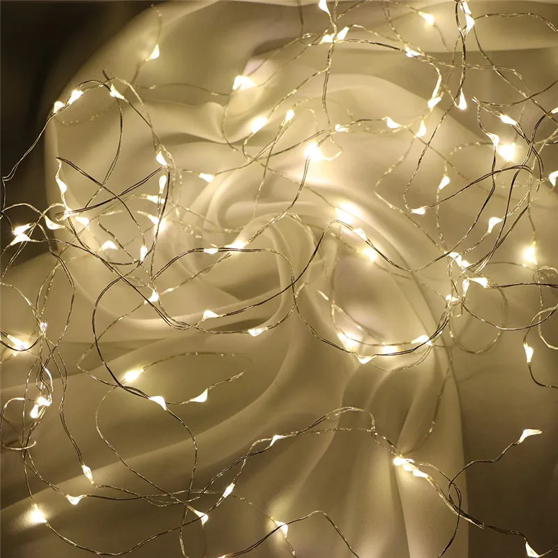 Fairy Lights AA Battery Powered 1M 10 2M 20 3M 30 5M 50 10M 100Leds Silver Led Copper Wire String Light Decorative Fairy Lights
Fairy Lights AA Battery Powered 1M 10 2M 20 3M 30 5M 50 10M 100Leds Silver Led Copper Wire String Light Decorative Fairy Lights