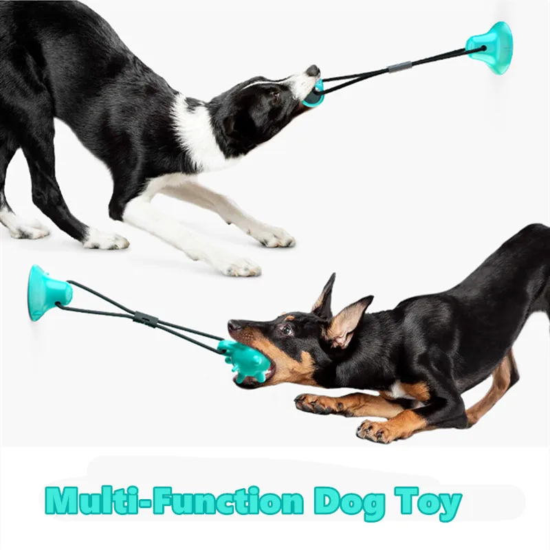 Interactive Ball Toys Puppy Teething Chew Toothbrush Dog Toys Suction Tug Pet Supplies Accessories Products for Samll large Dogs
Interactive Ball Toys Puppy Teething Chew Toothbrush Dog Toys Suction Tug Pet Supplies Accessories Products for Samll large Dogs