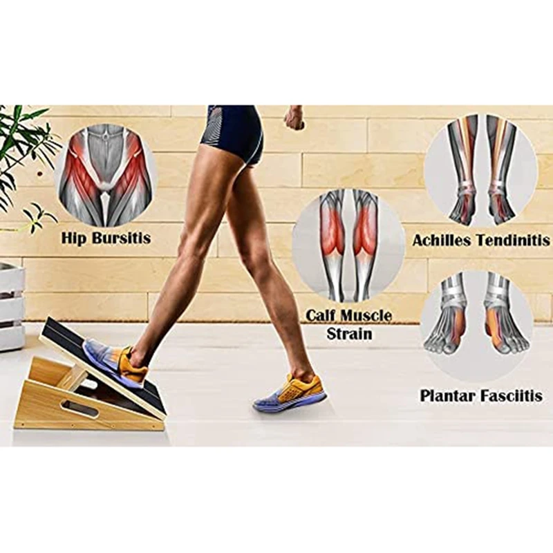 Fitness & Body Building 
Fitness & Body Building